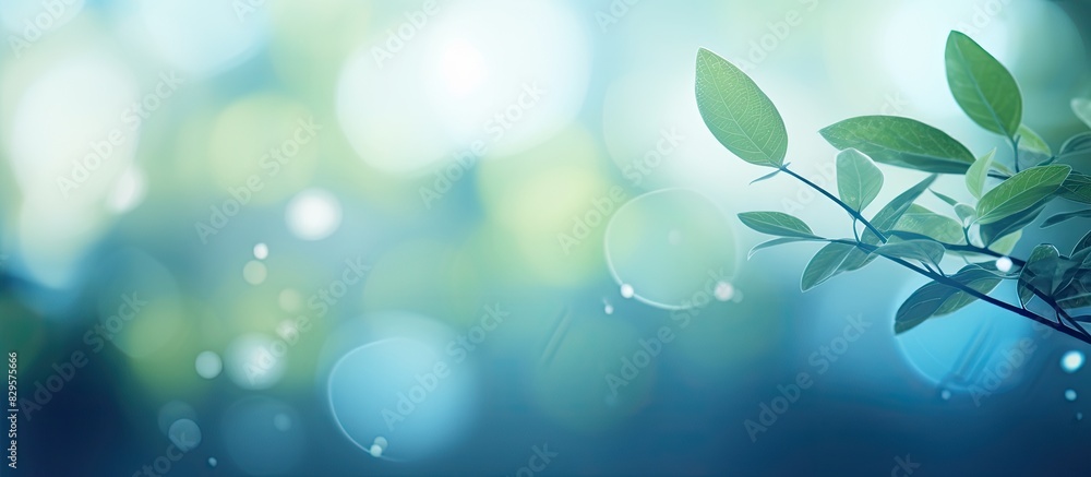 Poster nature inspired abstract blur background featuring out of focus leaves creating bokeh effect ideal f