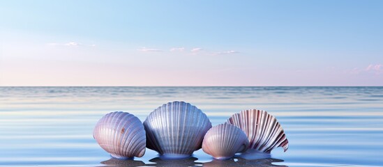 Marine shells with a tough gray nacreous surface set against an open ocean background with a vertical orientation perfect for a copy space image