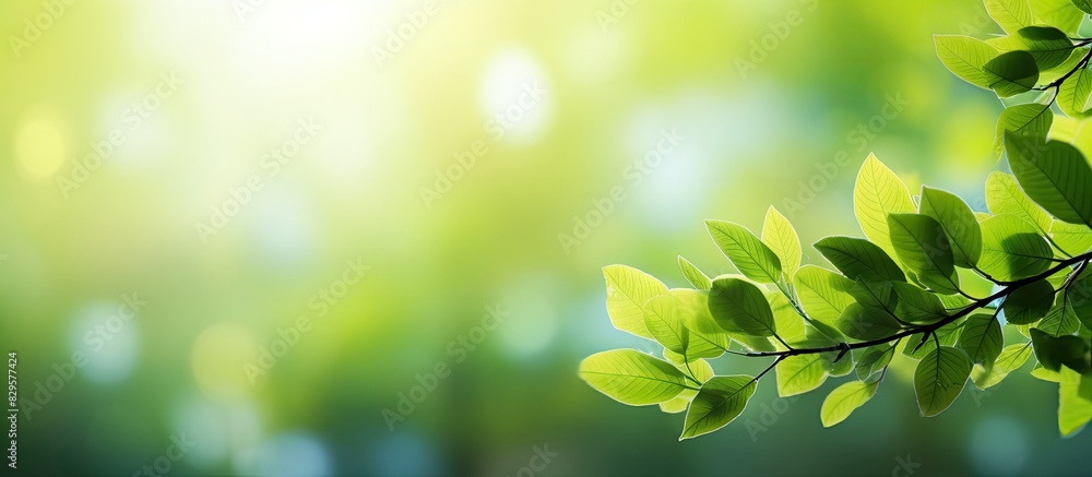 Poster nature background with blurred green leaves creating bokeh effect perfect for a copy space image