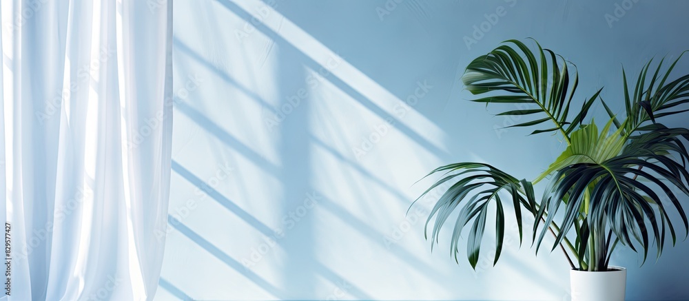 Aufkleber light blue background with minimal abstract design featuring shadows of tropical leaves and window c