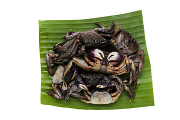 Preserved crabs for ingredient thai food