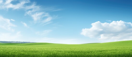 Scenic view of horizon sky and field with copy space image