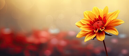 Creative wallpaper with a large yellow flower red petals on a blurred background ideal for design greeting cards and more Perfect for copy space image - Powered by Adobe