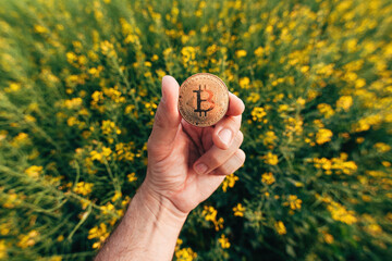 Farmer holding Bitcoin cryptocurrency coin in canola rapeseed field