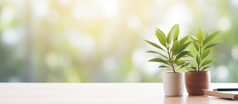 An airy clutter free desk with a blurred spring leaf and plant background perfect for a copy space image