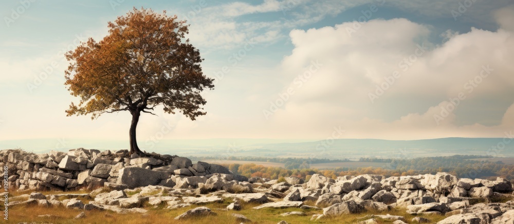 Poster during a fall day there is an upland landscape featuring limestone rocks with a tree on top creating
