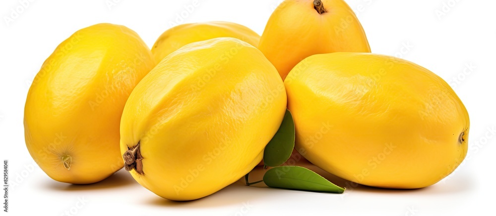 Poster canistel fruit also known as egg fruit or yellow sapote displayed on a white background with clippin