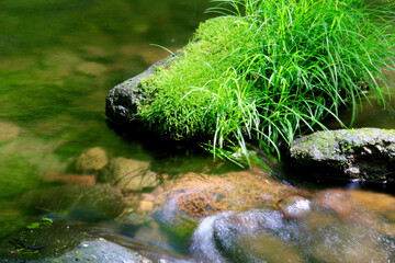 初夏の不動川（福島県・猪苗代町）