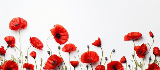 Creative composition made of red poppies close up on white background Nature concept Summer floral backdrop Top view Flat lay. Copy space image. Place for adding text and design - Powered by Adobe