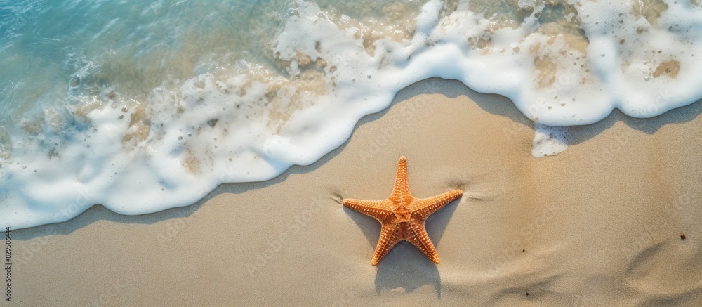 Aufkleber a top down view of a starfish resting on the sandy shore of a beach during the summer with ample cop