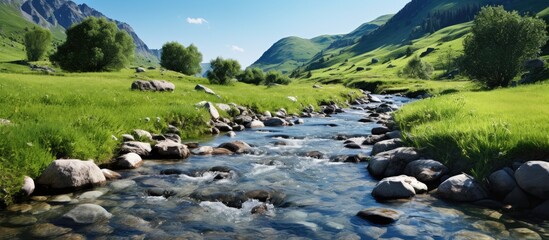Naklejka premium Mountain stream on a summer day with water foaming in the riverbed providing a source of moisture for drinking and irrigation set against rocks green grass and a serene natural backdrop in a copy spac