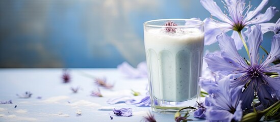 Chicory powder incorporated into a keto drink concept with chicory flowers featuring a healthy beverage with copy space image