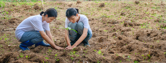 children help plant trees with love for nature.