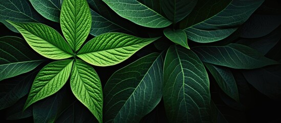Close up image of a vibrant green leaf and a flower in their natural beauty with an intricate design and lush surroundings presenting a captivating copy space image