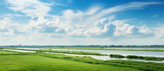 The picturesque landscape of the South Holland polder with a vast flat terrain and serene waterways framed by a beautiful horizon with copy space image