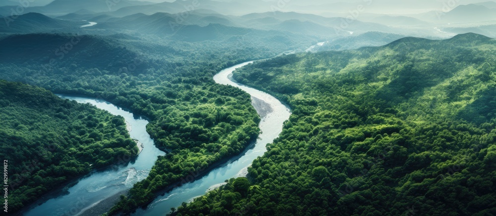 Wall mural Aerial view of a natural river winding through a forest with a vast expanse of copy space image visible