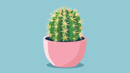 Cactus in pink pot. Succulent houseplant decorative i