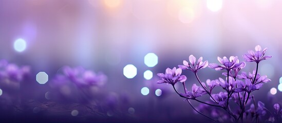 Nature themed background featuring purple bokeh abstract texture with copy space image