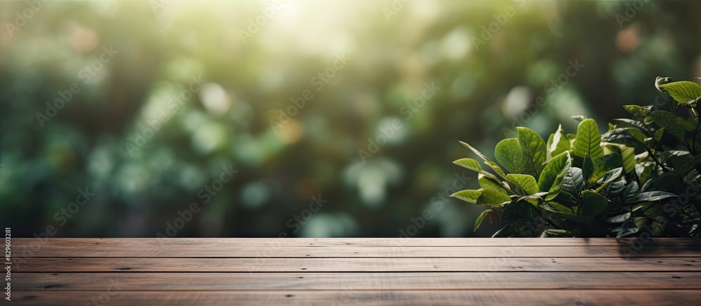 Poster blurry nature background enhances the visual appeal of the table top creating an ideal setting for a