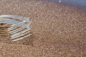 Fish ribs on the sand. Fish skeleton. Space for text. Selective focus.