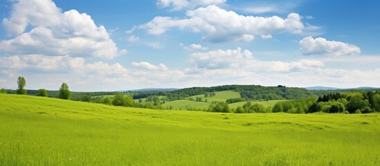 Obraz premium Landscape with fresh green vegetation from the forest and meadows under a sky filled with fluffy white clouds ideal for a copy space image