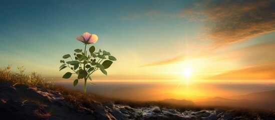 A new dawn rises symbolizing the promise of a fresh start in life reminiscent of hope and new beginnings a metaphor for renewal. Copy space image. Place for adding text and design