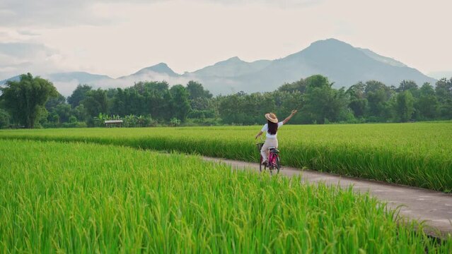 Young happy woman tourist enjoying and riding a bicycle in paddy field while traveling at Nan, Thailand