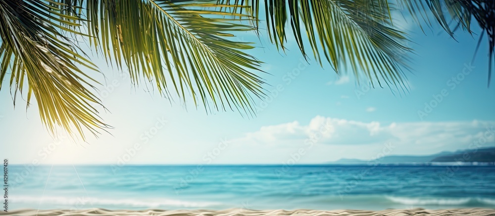 Canvas Prints An exotic summer beach scene with blurred palm trees and the sea in the background ideal for adding a copy space image