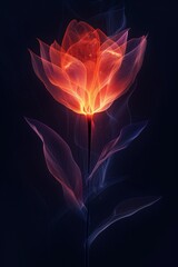 Elegant Flower on Black Background