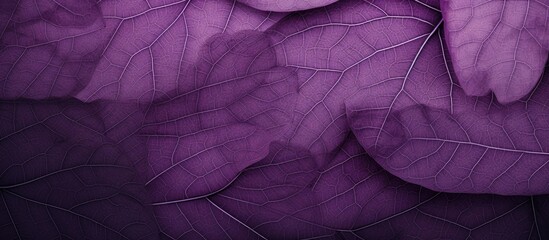 Violet ultra concept with a purple leaf tree texture pattern background featuring an elegant color scheme and copy space image