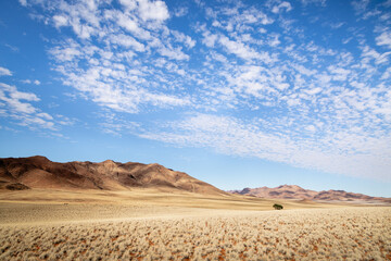 landscape in the Namib desert