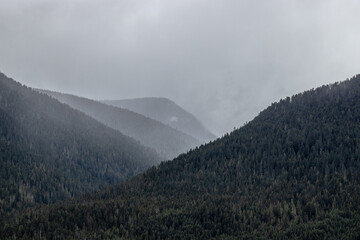 fog in the mountains