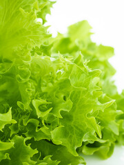 Green leaves of salad isolated on white background