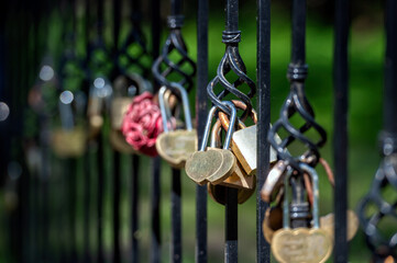 Heart-Shaped Padlocks on Iron Fence in Sunny Park During Daytime. Blurred background with copy space