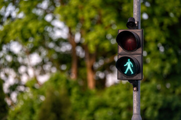 Green Pedestrian Light Against Lush Green Trees During Sunny Day in Urban Park.
