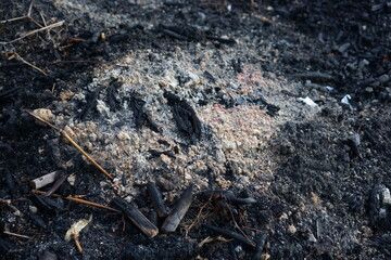 Black coal and fire ashes, close up. Cold coals.