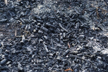Black coal and fire ashes, close up. Cold coals.