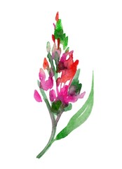 The image showcases a vibrant watercolor illustration of an abstract, beautiful pink flower with green leaves on a white background