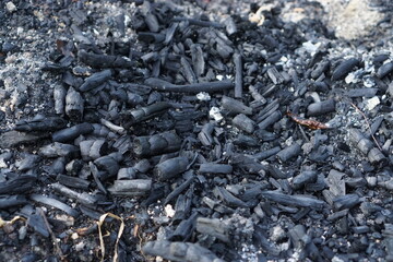 Black coal and fire ashes, close up. Cold coals.