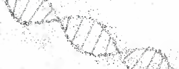 3D rendering of a DNA double helix structure with spheres on a white background with copy space. Genomic sequencing, molecular biology, and genetic data analysis