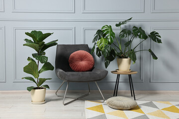 Comfortable armchair, pillows and green houseplants indoors
