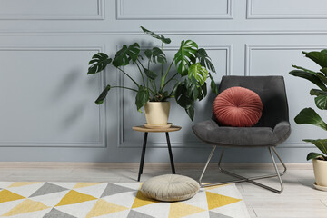 Comfortable armchair, pillows and green houseplants indoors, space for text