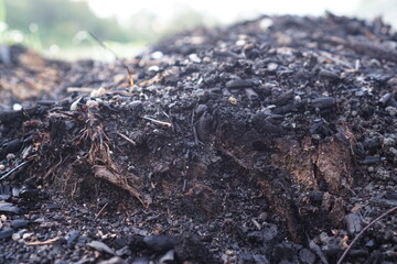 Black coal and fire ashes, close up. Cold coals.