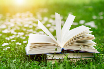 Summer Background with Open Book in Field Grass on Sunny Day. Beautiful Meadow with Chamomile Flowers with Sun Light. Reading Books and Knowledge Concept. 