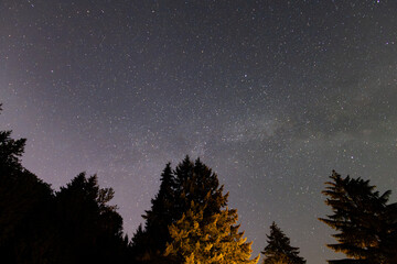 Fototapeta premium sky with stars