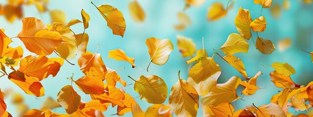 Fototapeta premium Autumn leaves are flying against the sky. Selective focus.