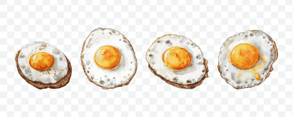 Sunny side up egg watercolor transparent isolated vector