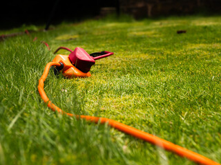 lectric power extension cable in garden 
