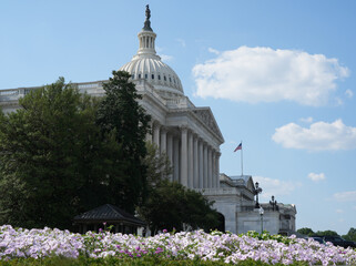 Capitol building near blossom spring. US National Capitol in Washington, DC. American landmark....