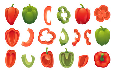 Bell pepper. Eco vegan food fresh sliced colored pepper exact vector illustrations in cartoon style